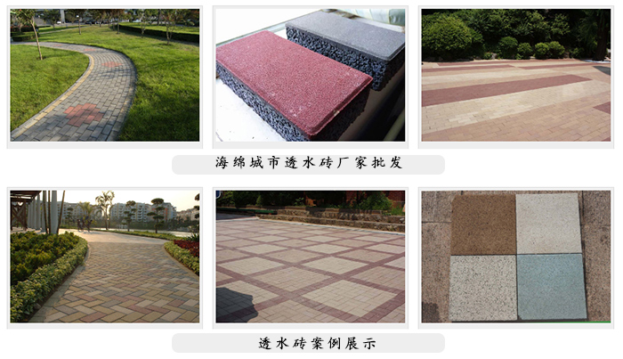 動起來，共建「海綿城市」！